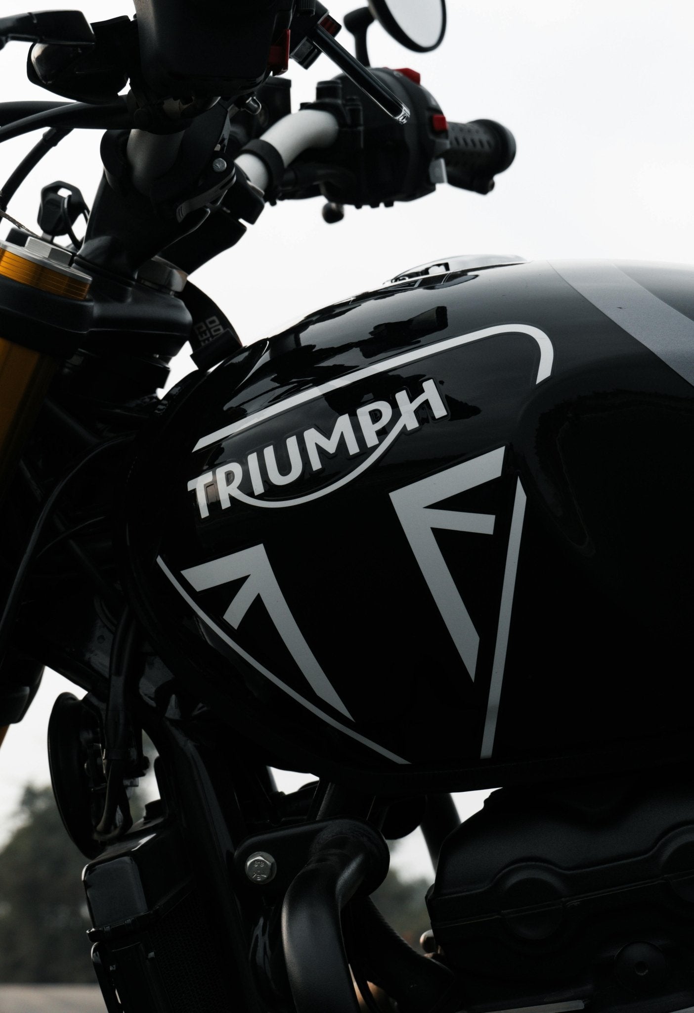 Triumph - Speed 400